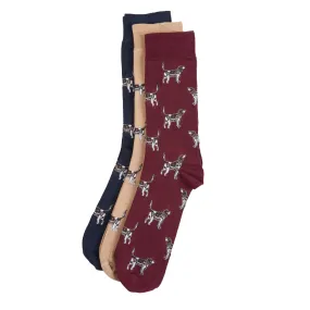 Barbour Pointer Dog Sock Gift Box Cordovan