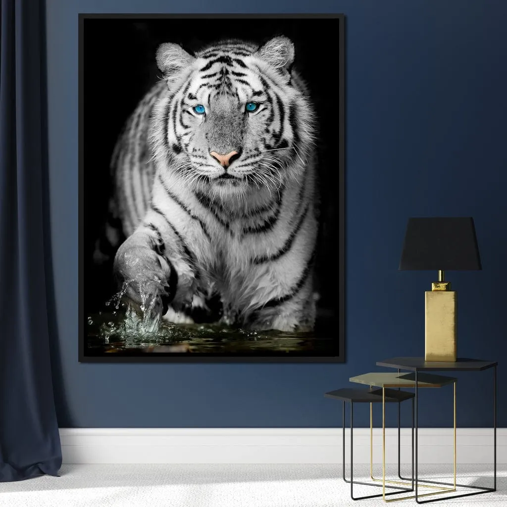 Blue Eyed Snow Tiger