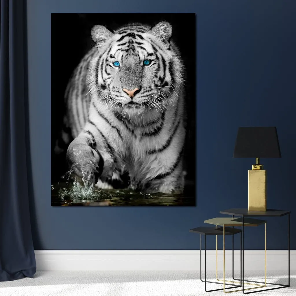 Blue Eyed Snow Tiger