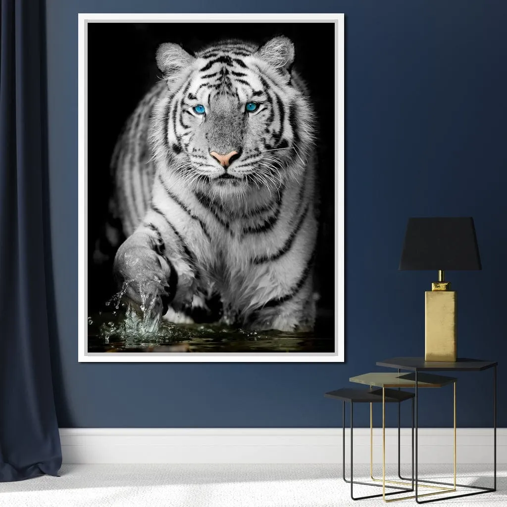 Blue Eyed Snow Tiger