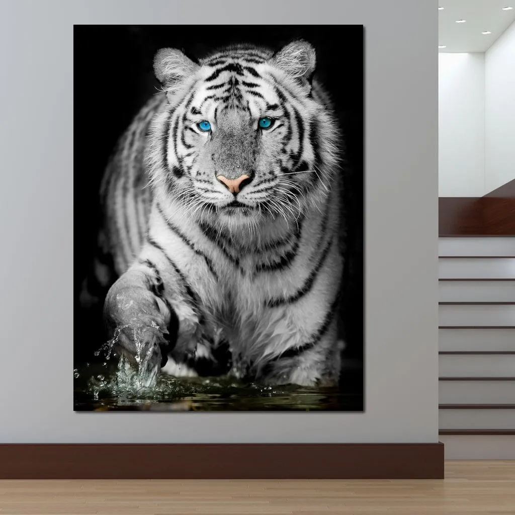 Blue Eyed Snow Tiger