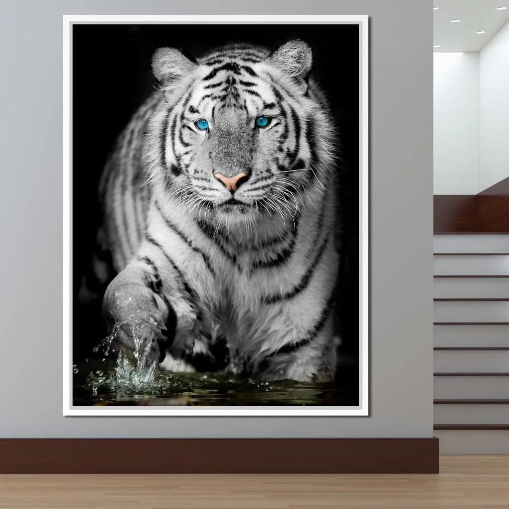 Blue Eyed Snow Tiger