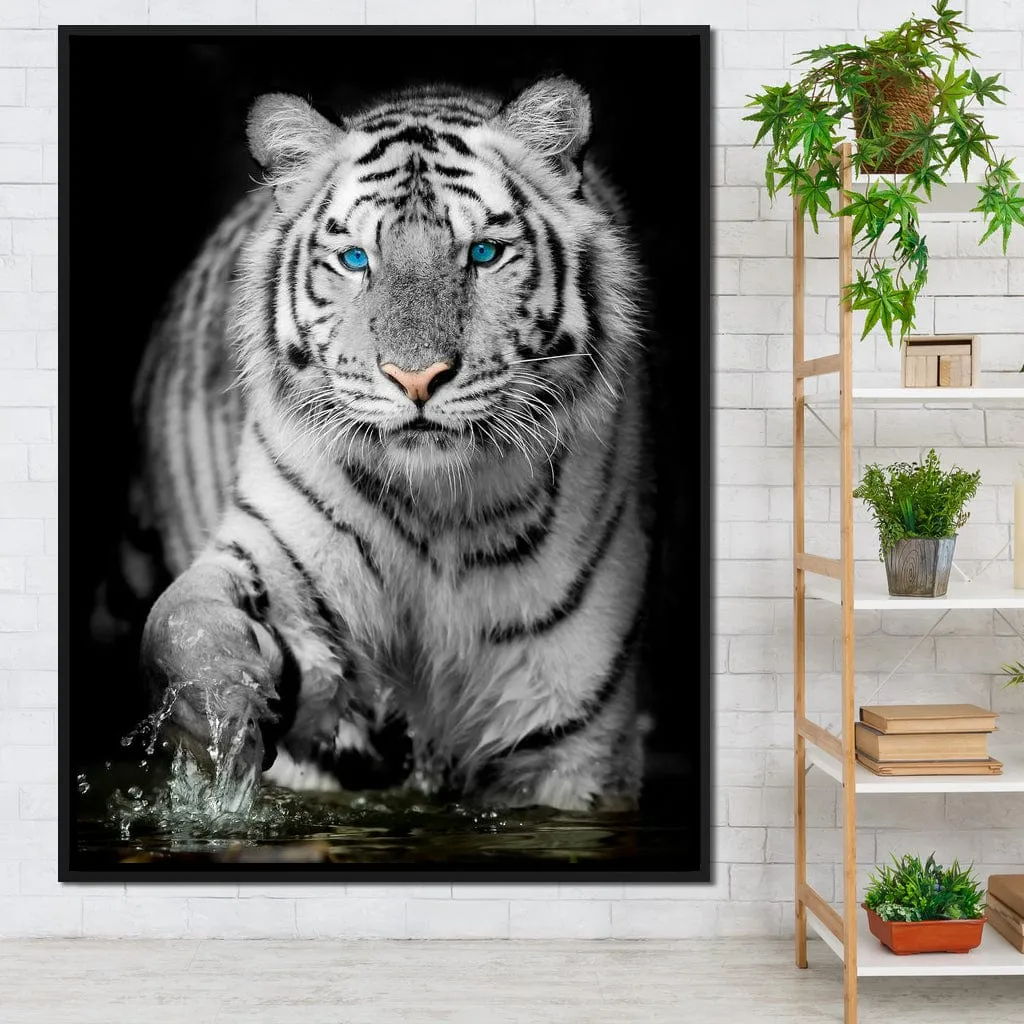 Blue Eyed Snow Tiger