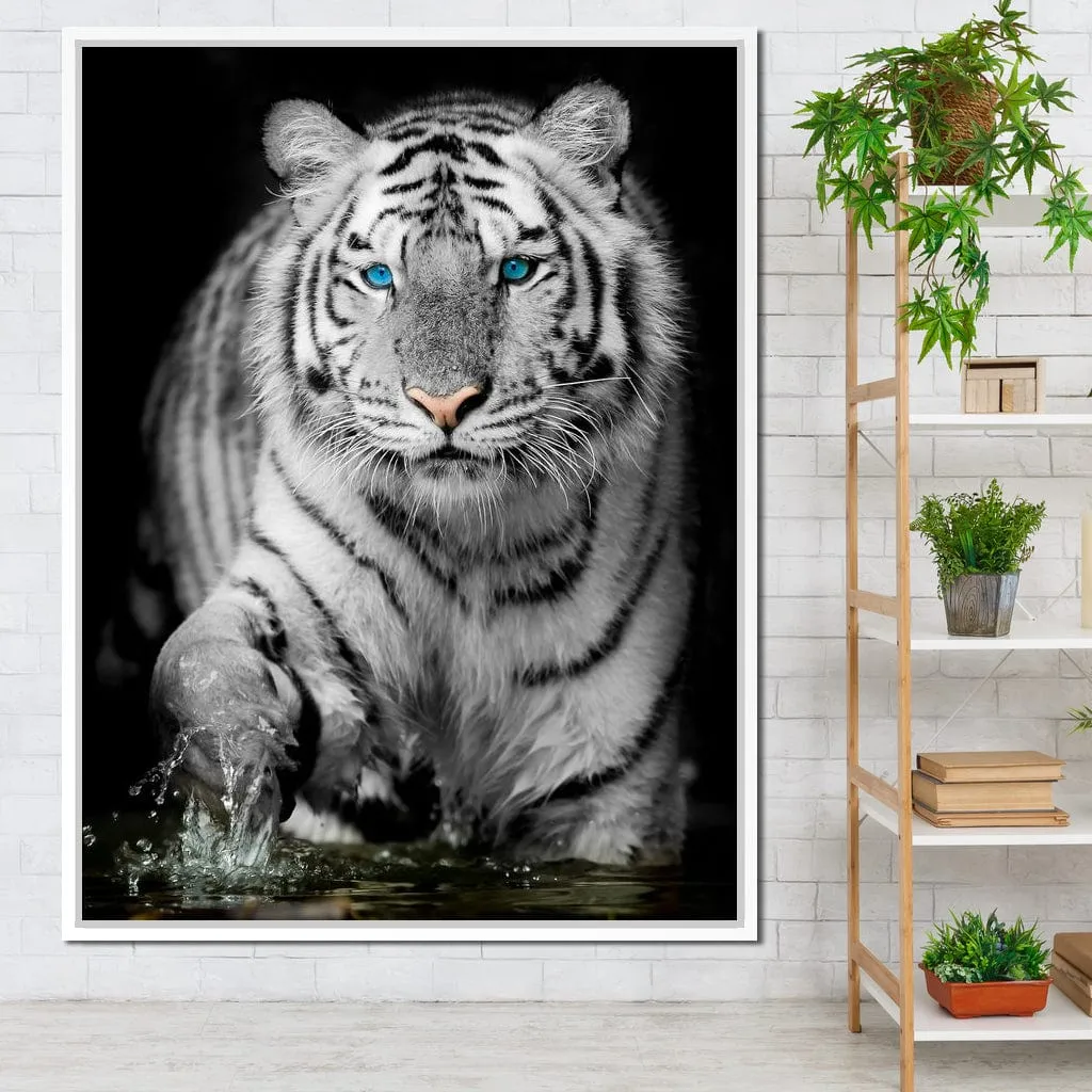 Blue Eyed Snow Tiger