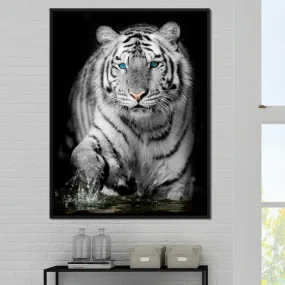 Blue Eyed Snow Tiger