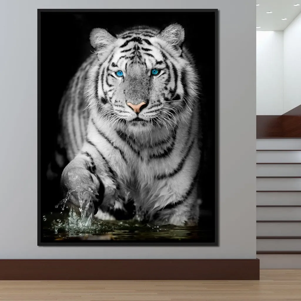 Blue Eyed Snow Tiger