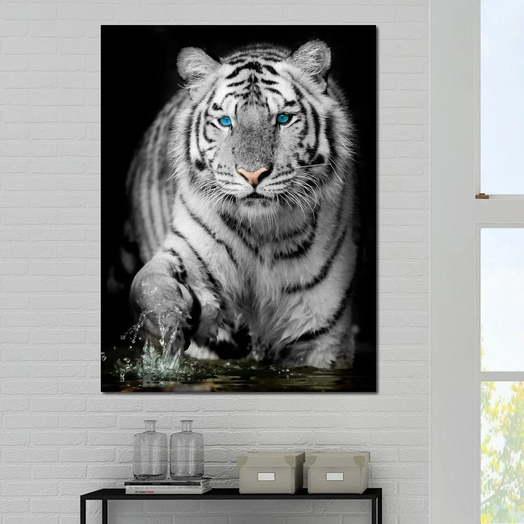 Blue Eyed Snow Tiger