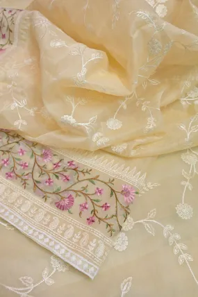 Butter Color Organza with Embroidery Work