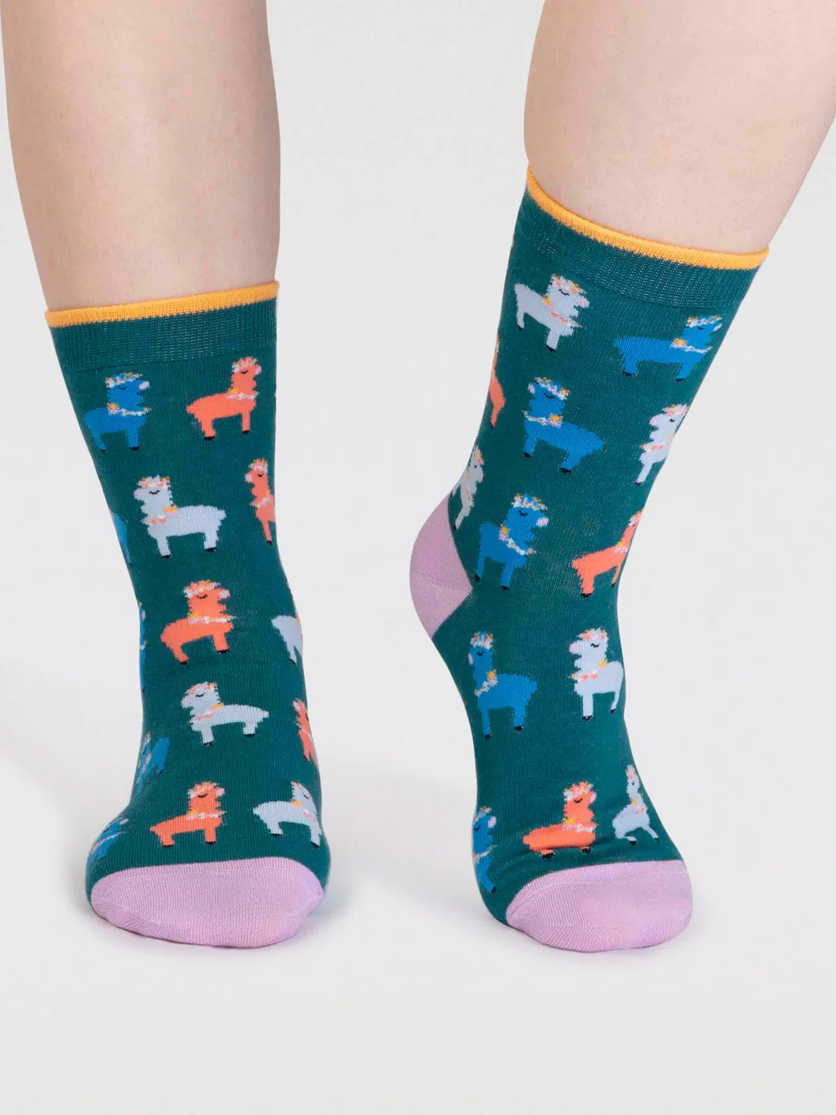 Maria Organic Cotton Llama Sock Box - Multi